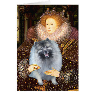 Königin Ellizabeth I - Keeshond (F)