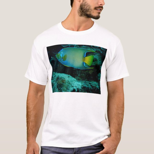 Königin-Engels-Fische T-Shirt (Vorderseite)