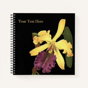 Königin-Orchis Schwarzes Notizbuch
