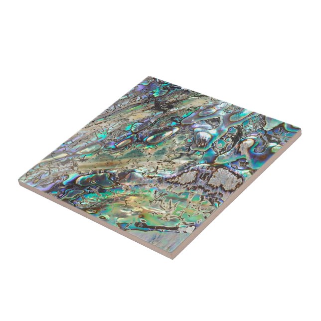 Königin paua Muschel Fliese (Seite)