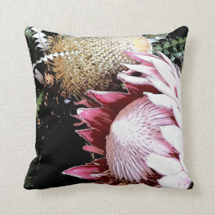 Königin Protea Kissen