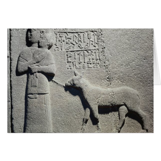 Königin Tuwarissa, Ehefrau König Araras (Vorderseite (Horizontal))