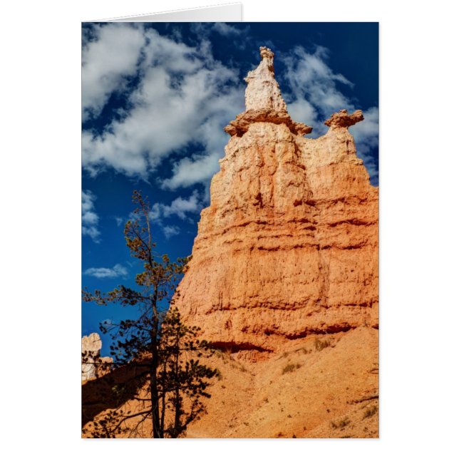 Königin Victoria Queen's Garden Trail (Vorne)