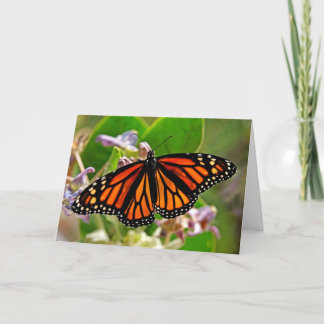 Königin von Orange Karte