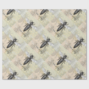 Königinnen-Bienen-Käfer-Insekt-Antik-Illustration Geschenkpapier