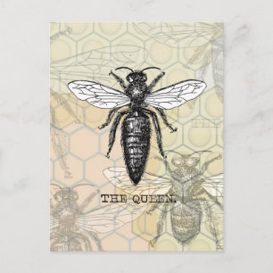 Königinnen-Bienen-Käfer-Insekt-Antik-Illustration Postkarte