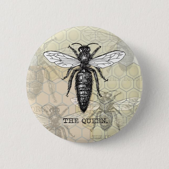 Königinnen-Bienen-Käfer-Insekt-antike-Illustration Button (Vorderseite)