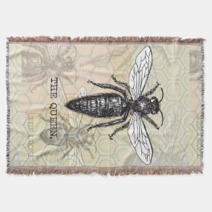 Königinnenbiene Insekt Antiquität Illustration Decke