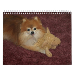 KÖNIGINsweetie-SPITZ Kalender