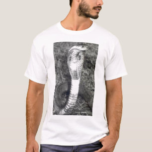 Königkobra-Shirt T-Shirt