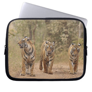 Königliche Bengal-Tiger auf der Strecke, Ranthambh Laptopschutzhülle