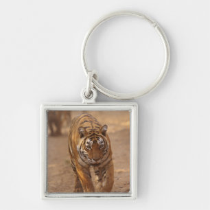 Königliche Bengal-Tiger auf der Strecke, Ranthambh Schlüsselanhänger