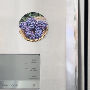 Königliche Lila Trauben Magnet