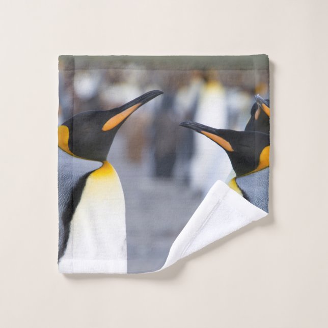 Königliche Pinguine Badhandtuch Set (Waschlappen)