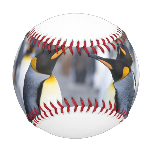 Königliche Pinguine Baseball (Vorderseite)