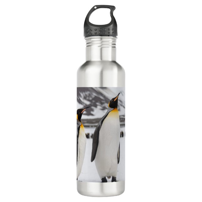 Königliche Pinguine Edelstahlflasche (Vorderseite)