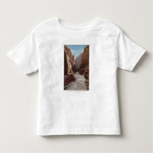 Königliche Schlucht, Co - Ansicht des Zugs, Fluss Kleinkind T-shirt