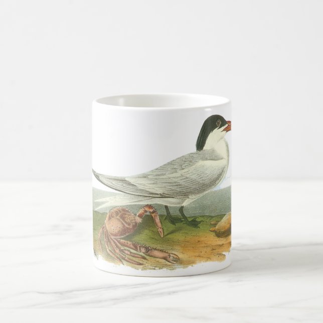 Königliche Seeschwalbe, John Audubon Kaffeetasse (Mittel)