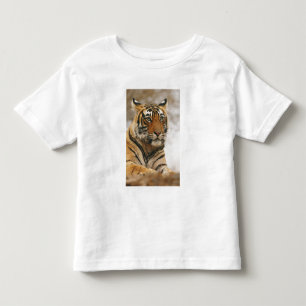 Königlicher Bengal-Tiger auf dem Felsen, Ranthambh Kleinkind T-shirt