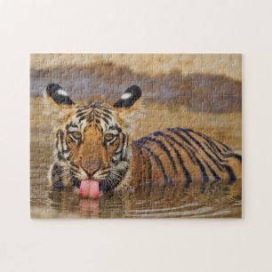 Königlicher Bengal-Tiger-Jungtier, Wasser trinkend Puzzle