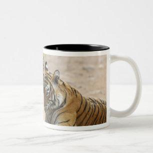 Königlicher Bengal-Tiger und Jungtier - Berührung Zweifarbige Tasse