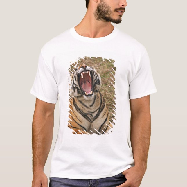Königlicher bengalischer gähnender Tiger, T-Shirt (Vorderseite)