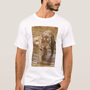 Königlicher bengalischer Tiger, der aus T-Shirt