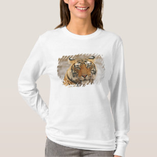 Königlicher bengalischer Tiger - ein Porträt, T-Shirt