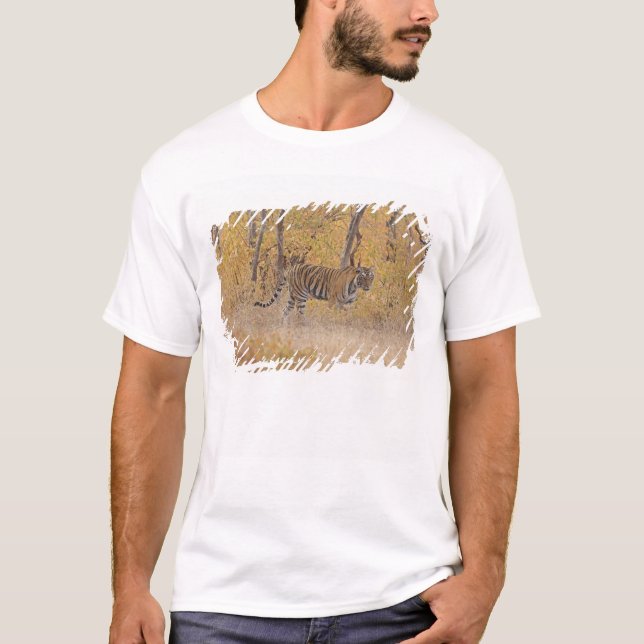 Königlicher bengalischer Tiger im Wald, T-Shirt (Vorderseite)