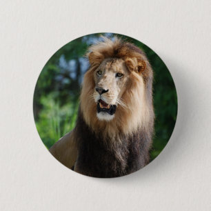 Königlicher Löwe-Knopf Button