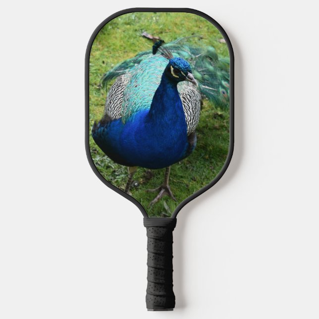 Königlicher Pfau-Power Pickleball Schläger (Vorderseite)