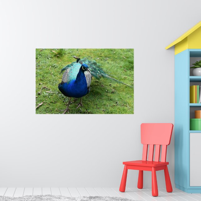 Königlicher Pfau Power Poster (Kinderzimmer 1)