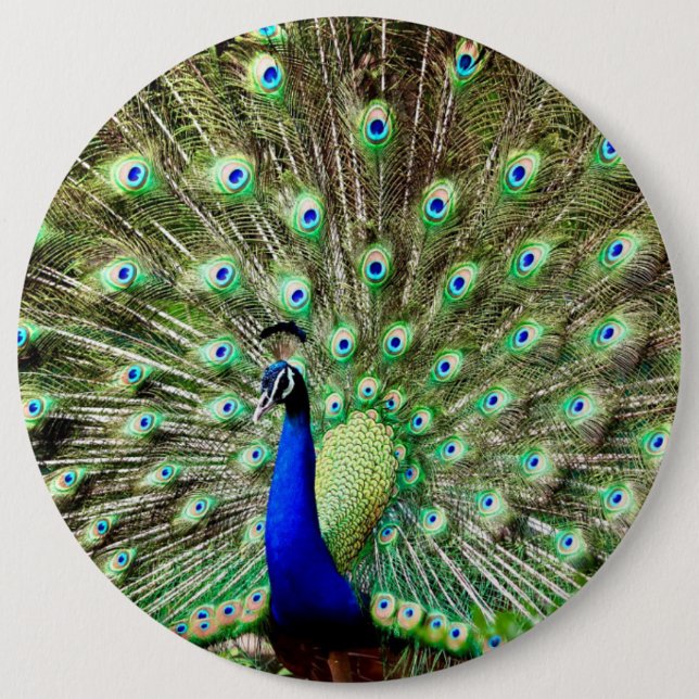 Königlicher Regentschafts-Pfau Button (Vorderseite)