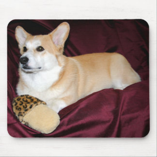Königlicher schauender Pembroke-WaliserCorgi Mousepad