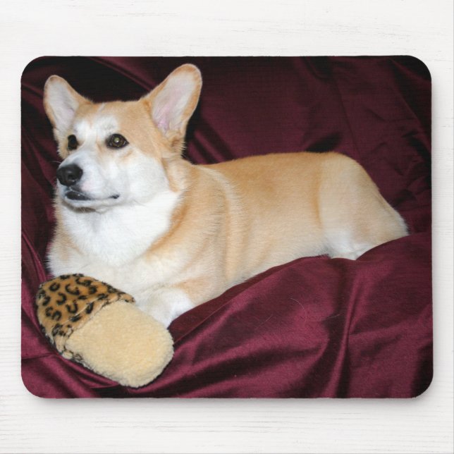 Königlicher schauender Pembroke-WaliserCorgi Mousepad (Vorne)