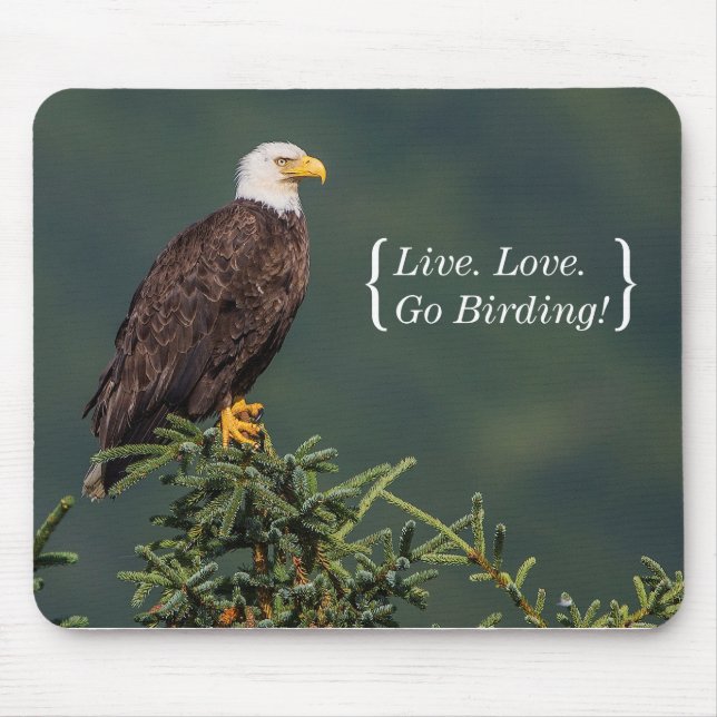 Königlicher Weißkopfseeadler Mousepad (Vorne)