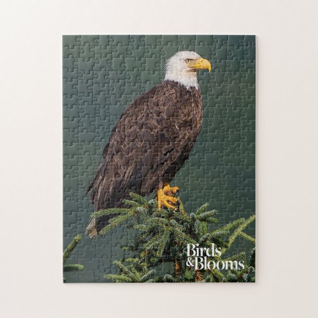 Königlicher Weißkopfseeadler Puzzle (Vertikal)