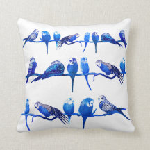 Königliches Blau Wellensittich Vogel Papagei Kisse