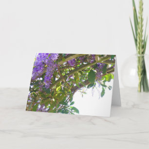 Königliches Gitter Karte