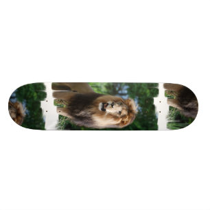 Königliches Löwe-Skateboard Skateboard