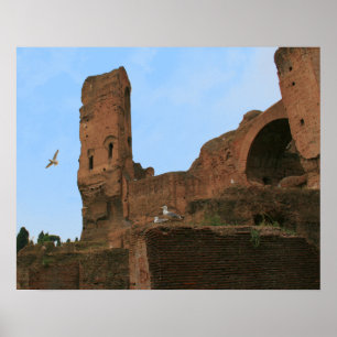 Königreich der Seemöwen Poster