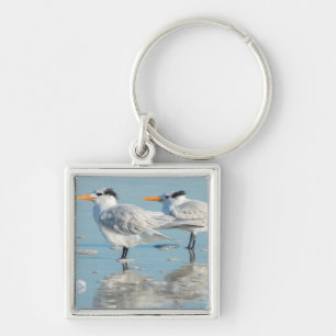 Königseeschwalben am Strand Schlüsselanhänger
