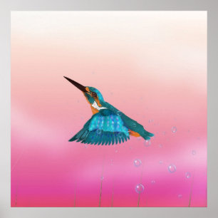 Königsfisch Bird Poster