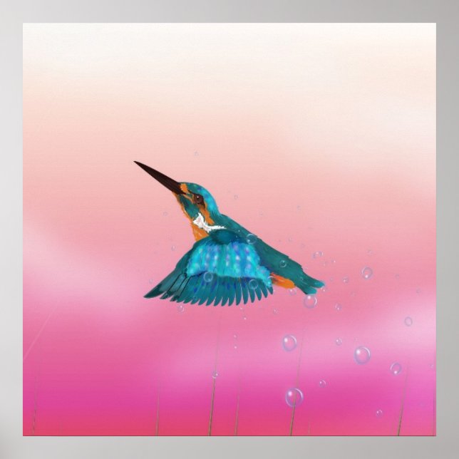 Königsfisch Bird Poster (Vorne)