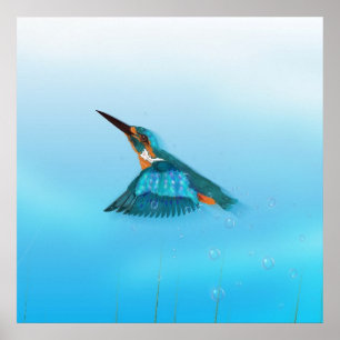 Königsfisch Bird Poster