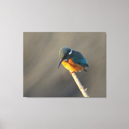 Königsfischer Leinwanddruck