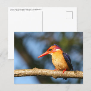 Königspalast Postkarte