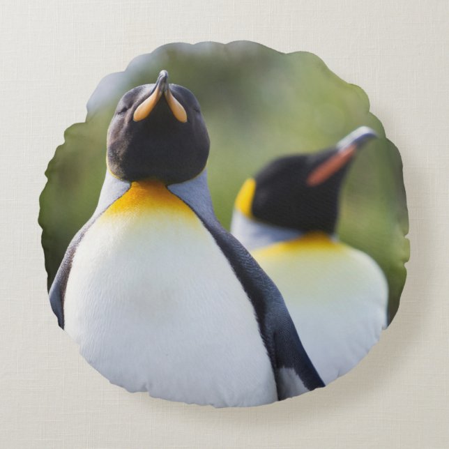 Königspinguine Rundes Kissen (Vorderseite)