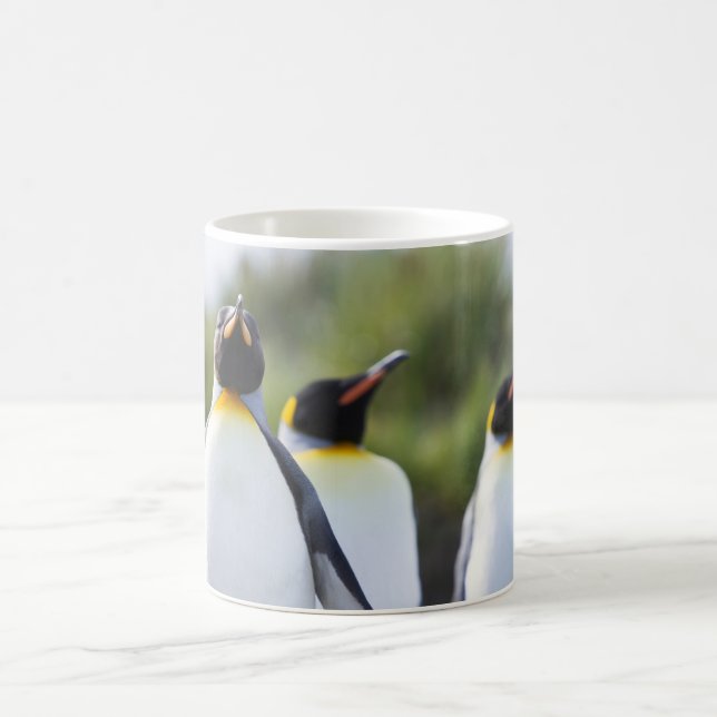 Königspinguine Tasse (Mittel)