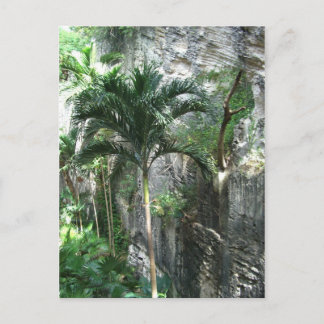 Königstreppe Postkarte